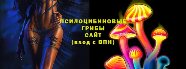 молекула духа Наволоки