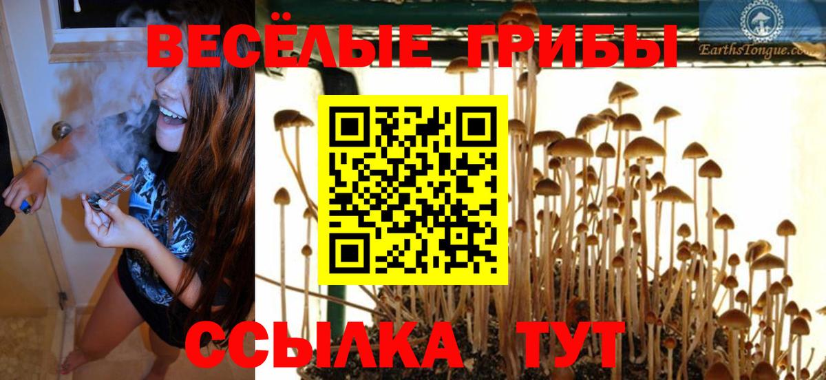 Галлюциногенные грибы Psilocybine cubensis  Вход с VPN  Лабинск 