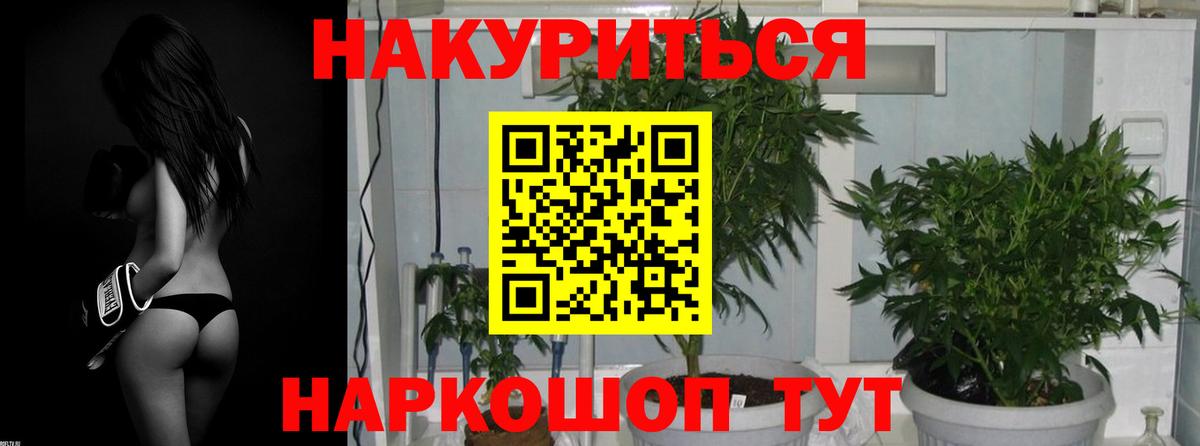 Каннабис VHQ Лабинск